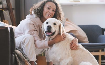 Vet Adelaide: Expert Tips on Pet Care You Can Rely On